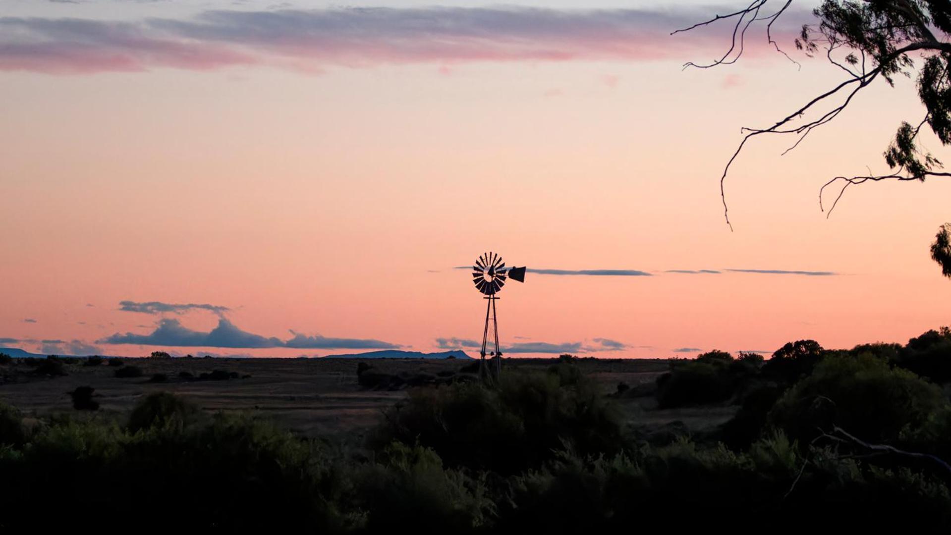 Garingboom Guest Farm Villa Springfontein Exterior foto