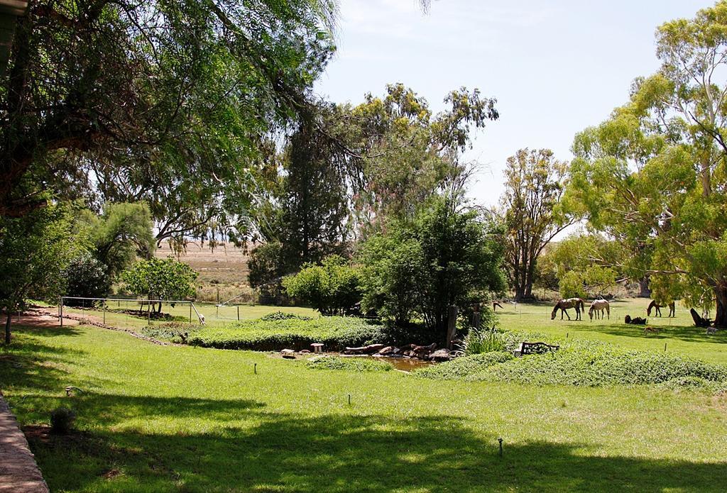 Garingboom Guest Farm Villa Springfontein Exterior foto